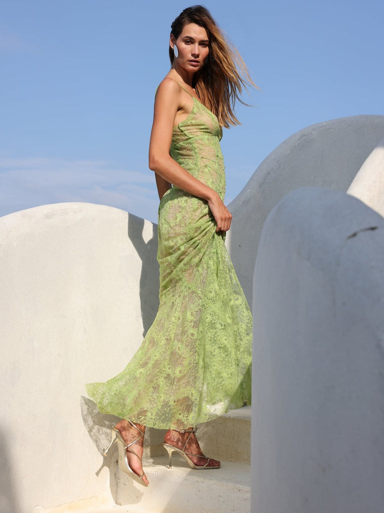 Francesca Miranda | Marino Lace Dress