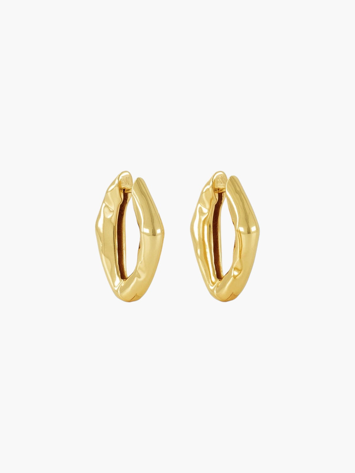 The Hoop Earrings | Gold