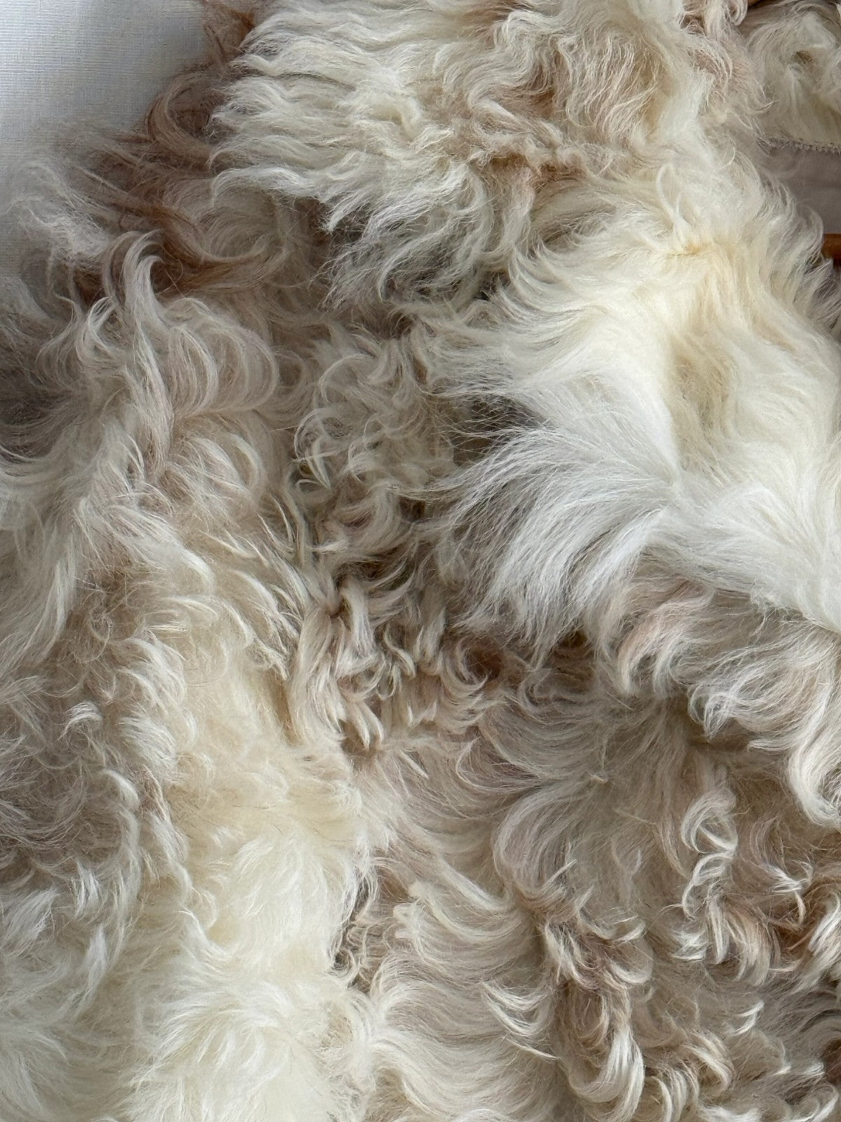 Mason Coat Mason Coat