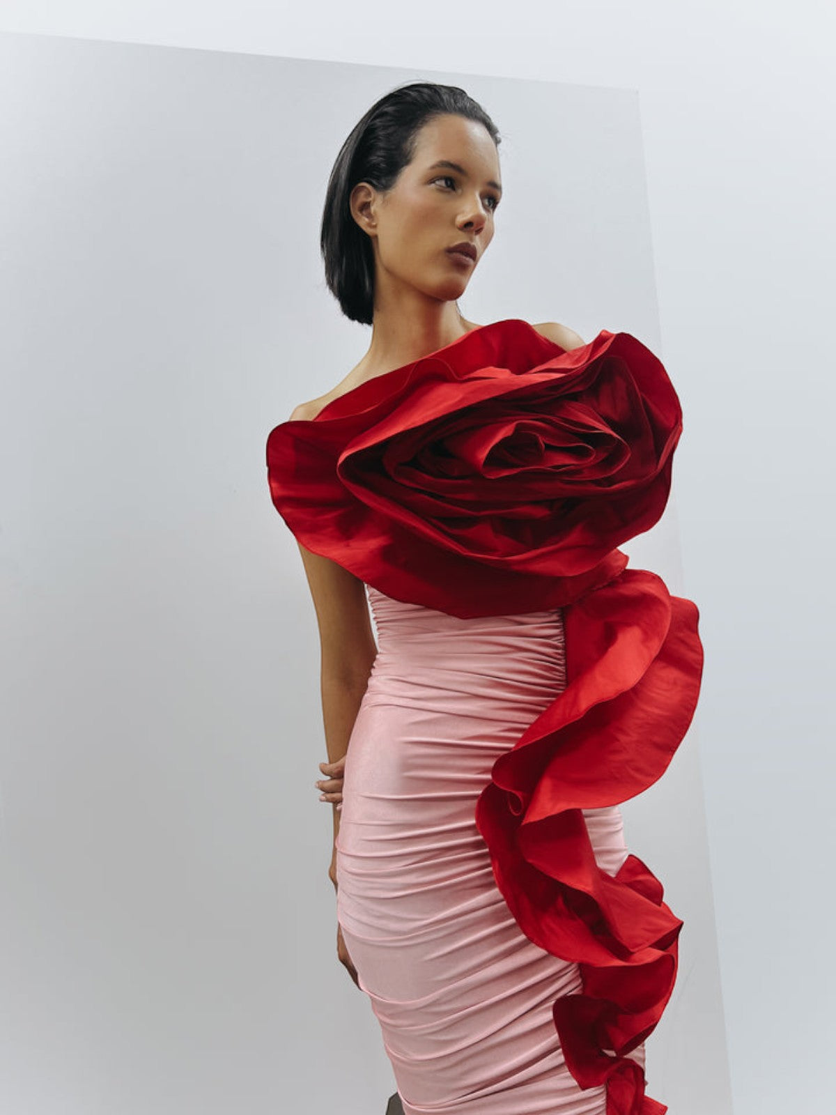 Rosa America Dress Rosa America Dress