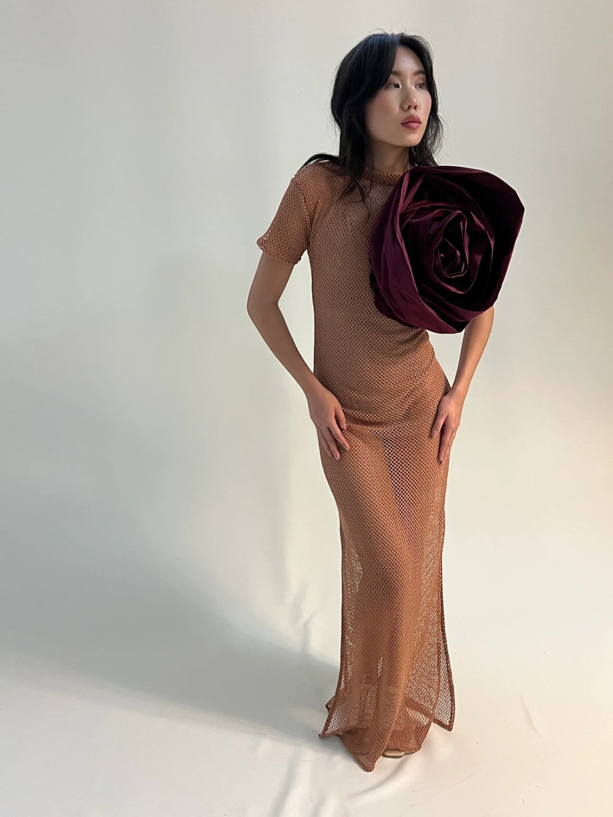 Rosa Mesh Dress Rosa Mesh Dress