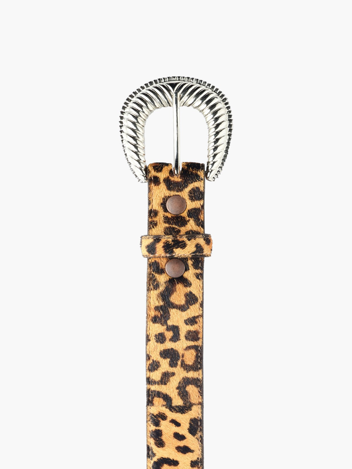 Sander Belt | Leopard