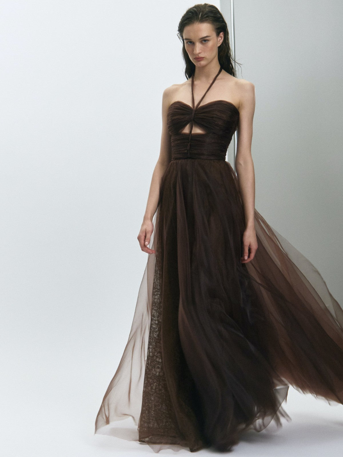 Leon Silk Organza Mocca Dress