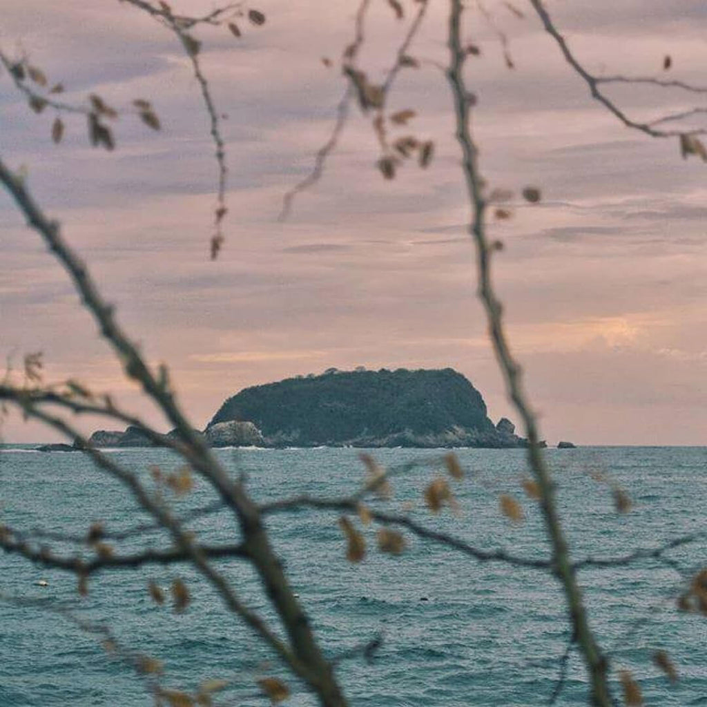 Collectiva Concepción