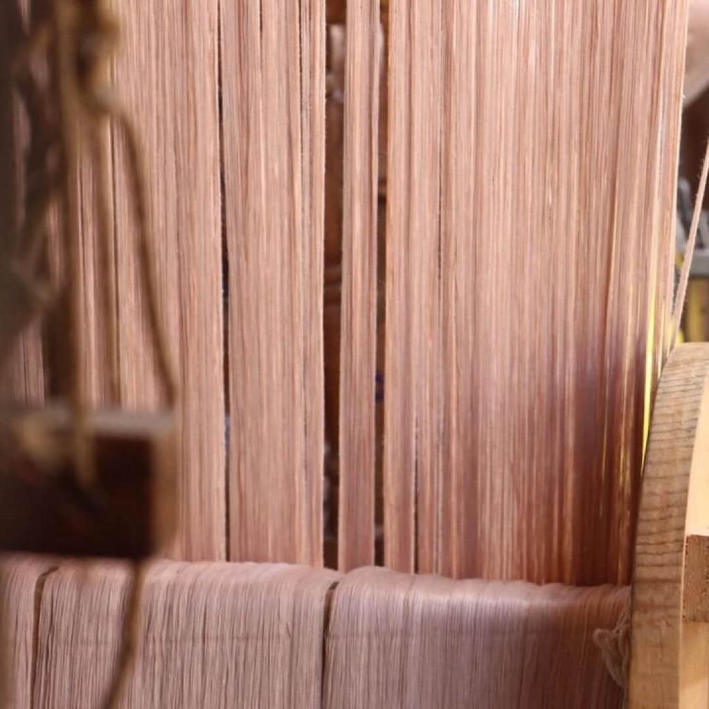 Collectiva Concepción