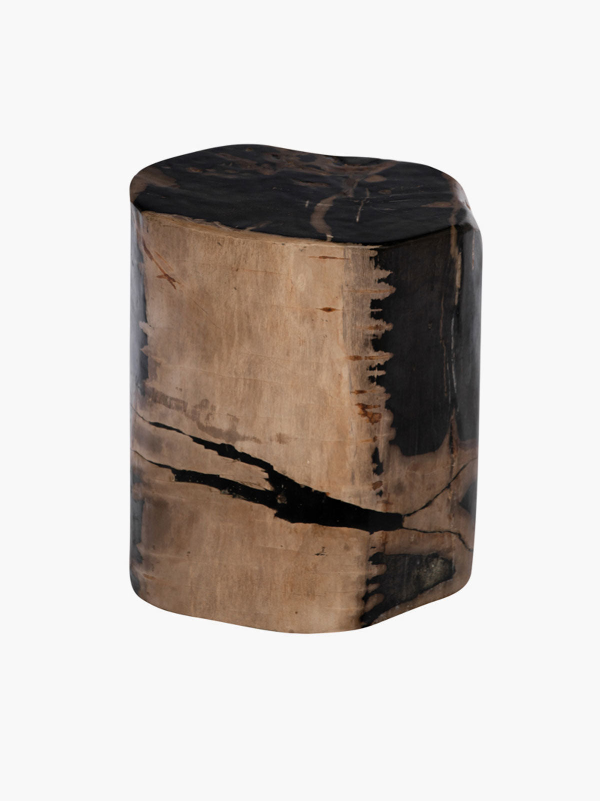 Fossilized Wood Log | Black/Natural Fossilized Wood Log | Black/Natural