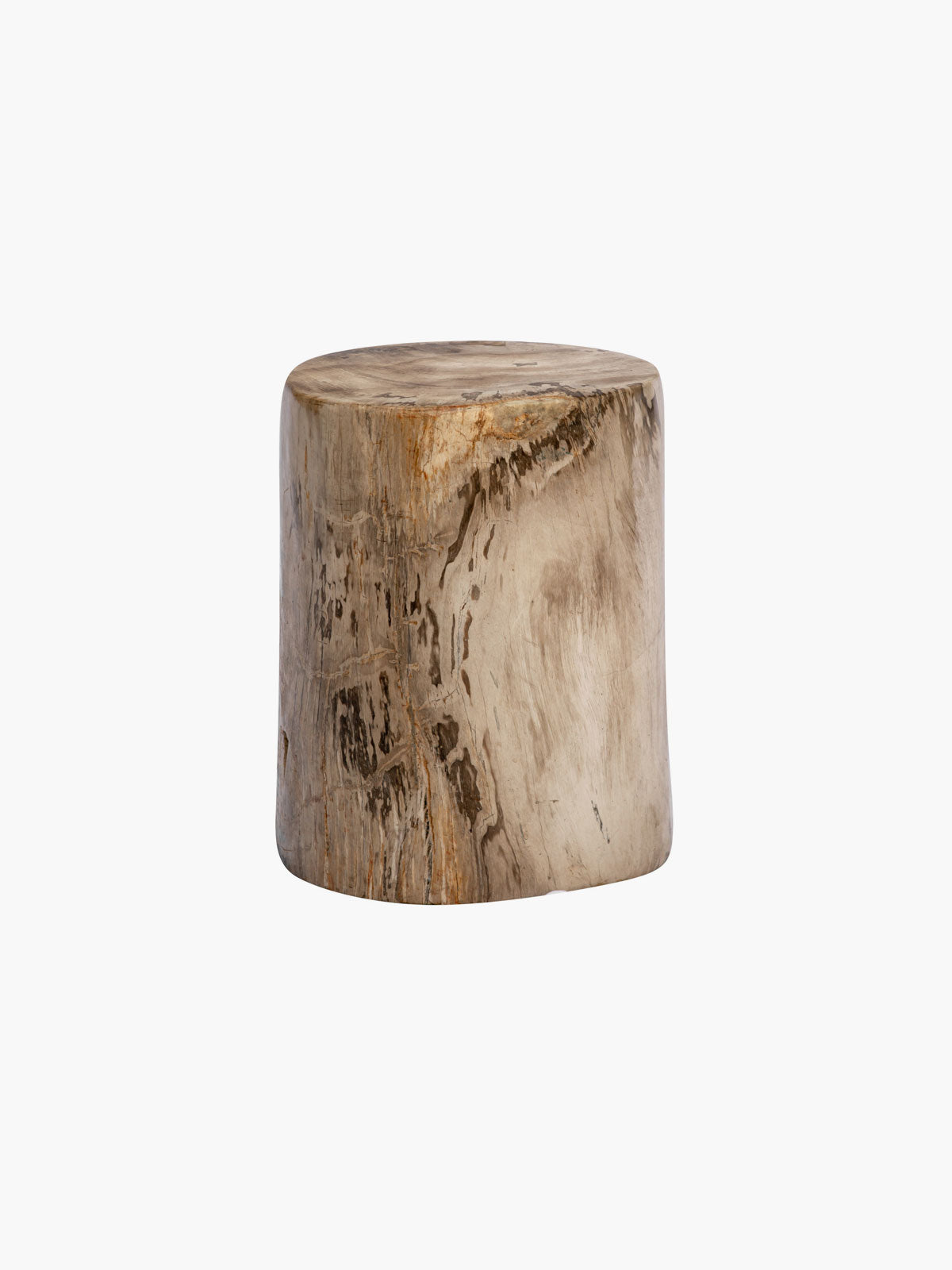 50cm Fossilized Wood Log | Black-Cafe