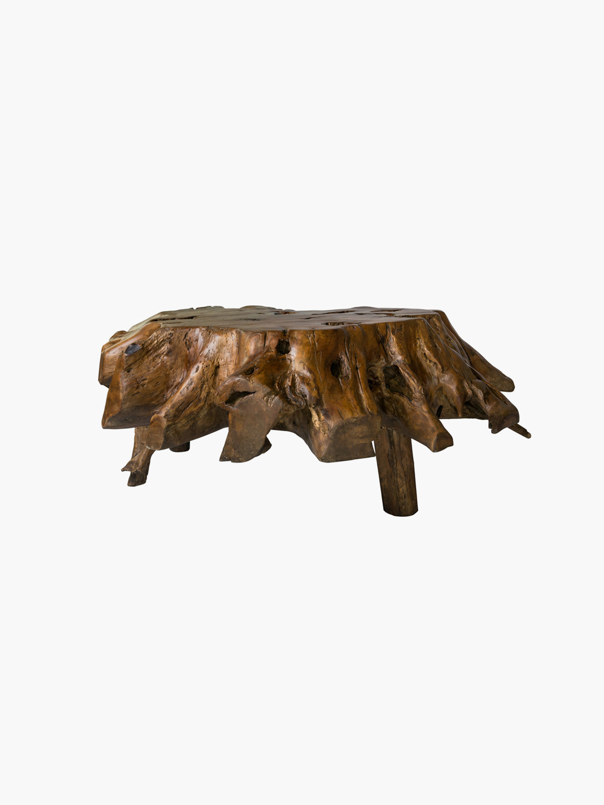 130cm Coffee Table Teak Root