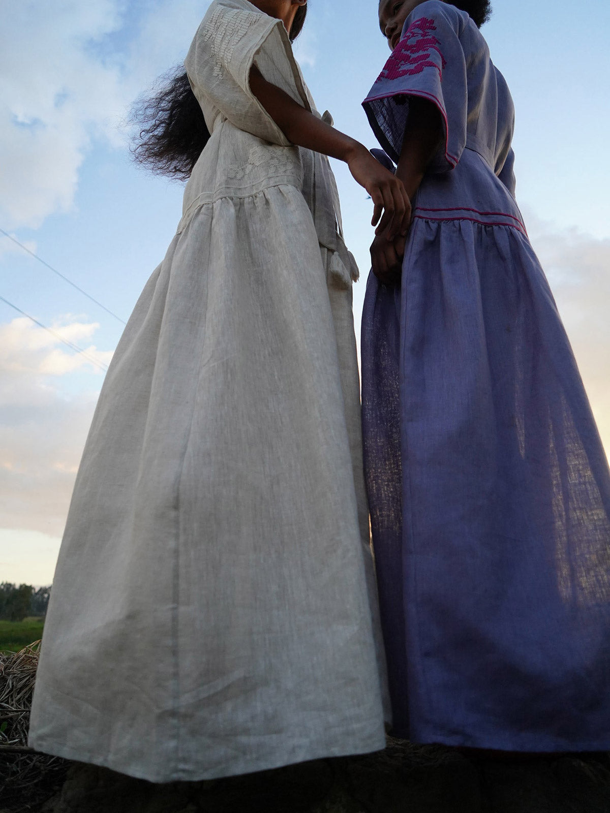 Swan Dress | Blue Swan Dress | Blue