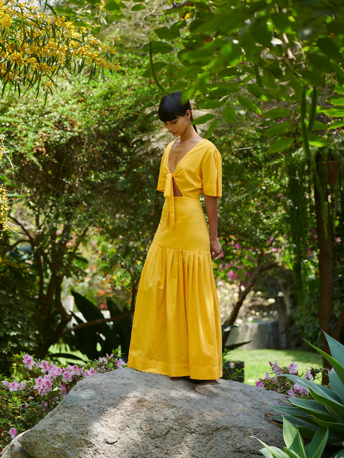 Colibri­ Dress Colibri­ Dress