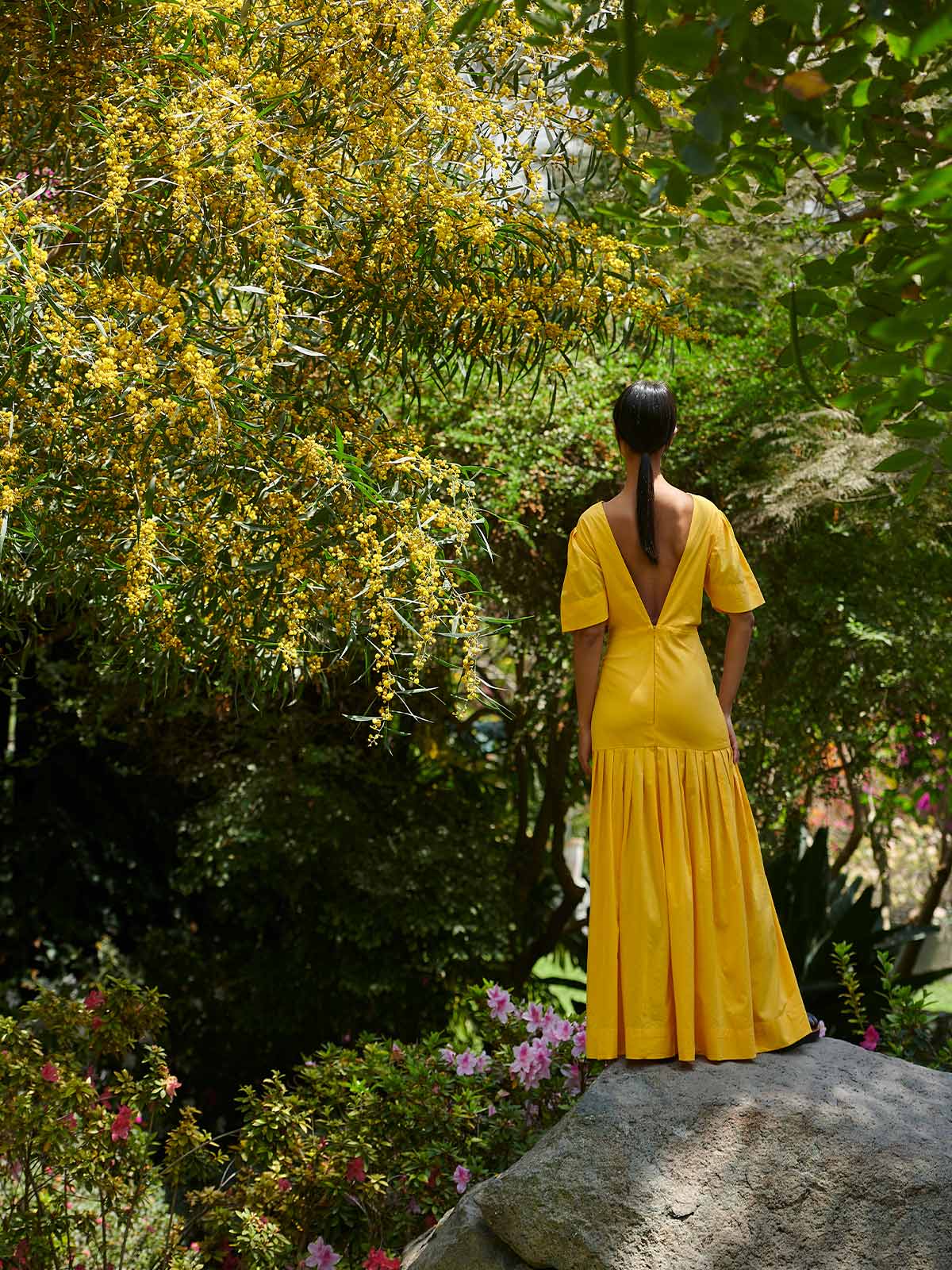 Colibri­ Dress Colibri­ Dress