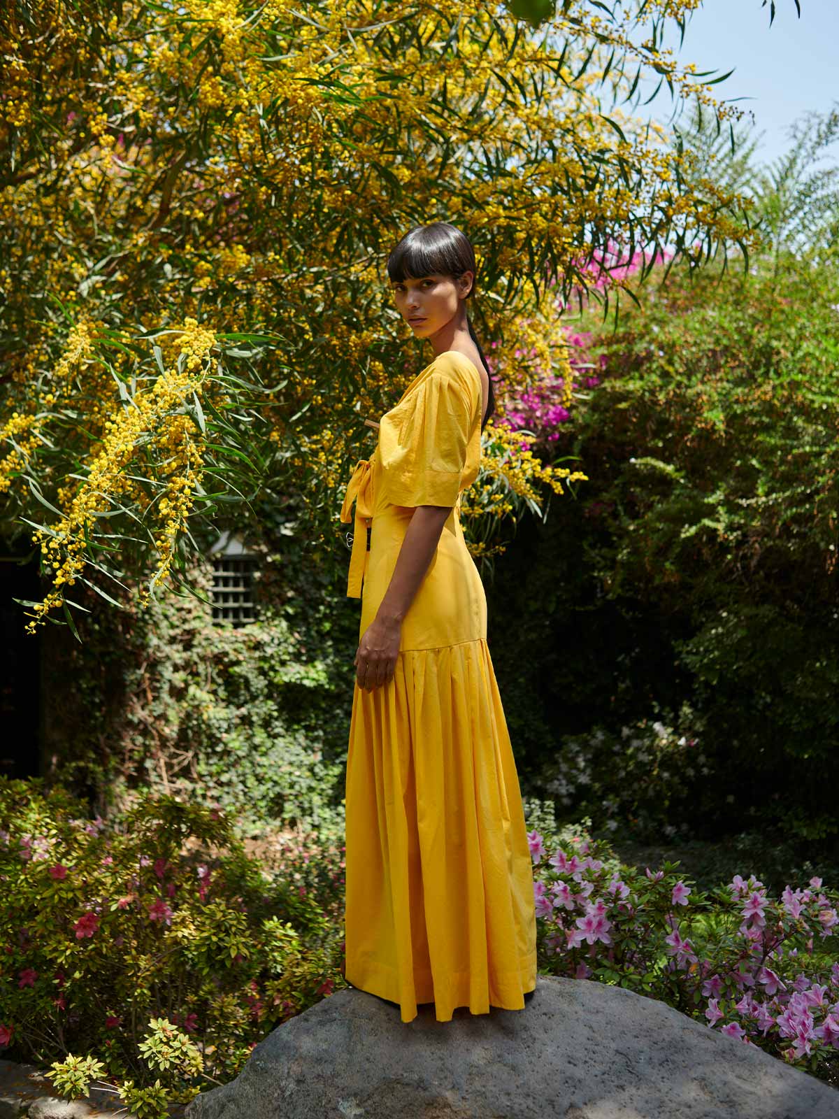 Colibri­ Dress Colibri­ Dress