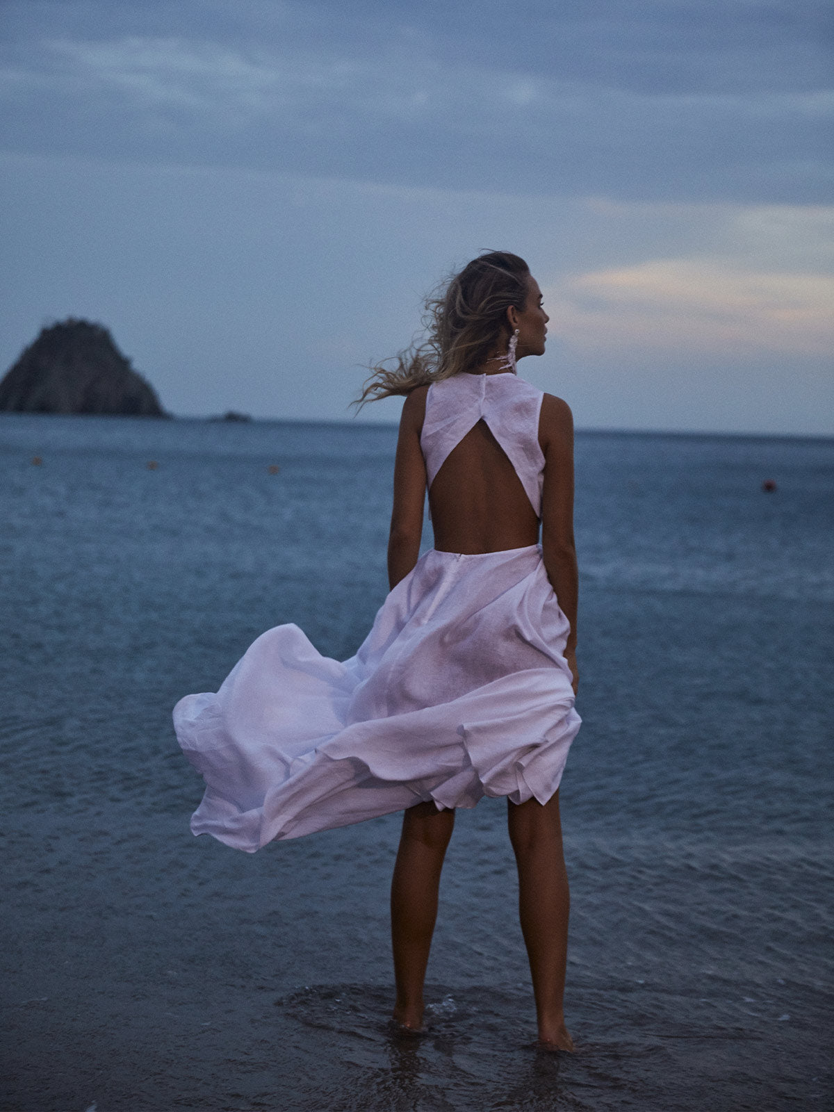 Aerial Dress Aerial Dress - Fashionkind