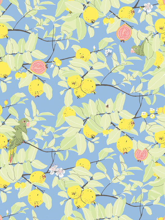 Guayaba Wallpaper | Perfect Blue