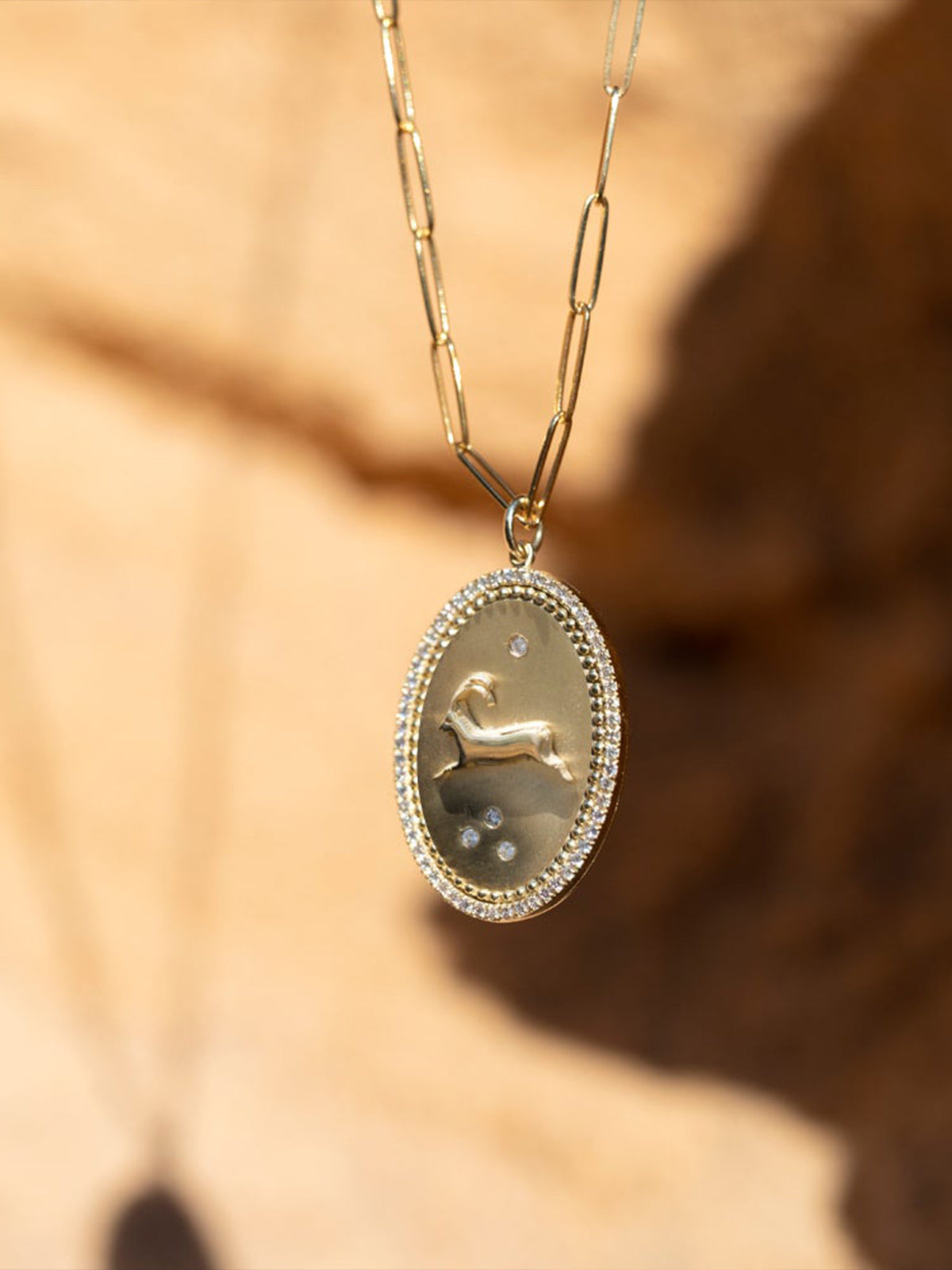 Token Necklace | Ibex Token Necklace | Ibex